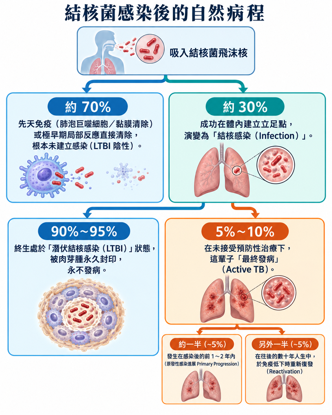 結核分枝桿菌微觀免疫病理機轉與胞內寄生